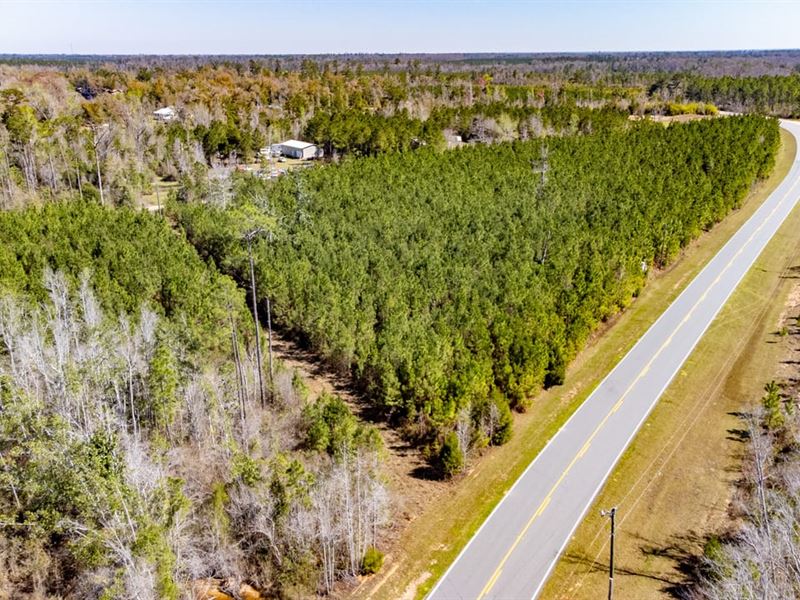 10 Ac Homesite and Mini-Farm Lot : Blountstown : Calhoun County : Florida