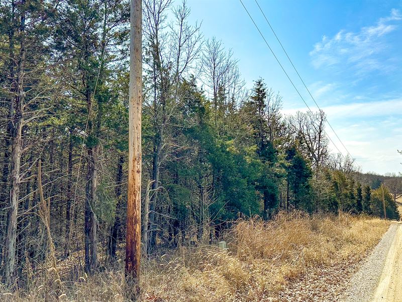 Vacant Lot for Sale in Missouri : Ava : Douglas County : Missouri