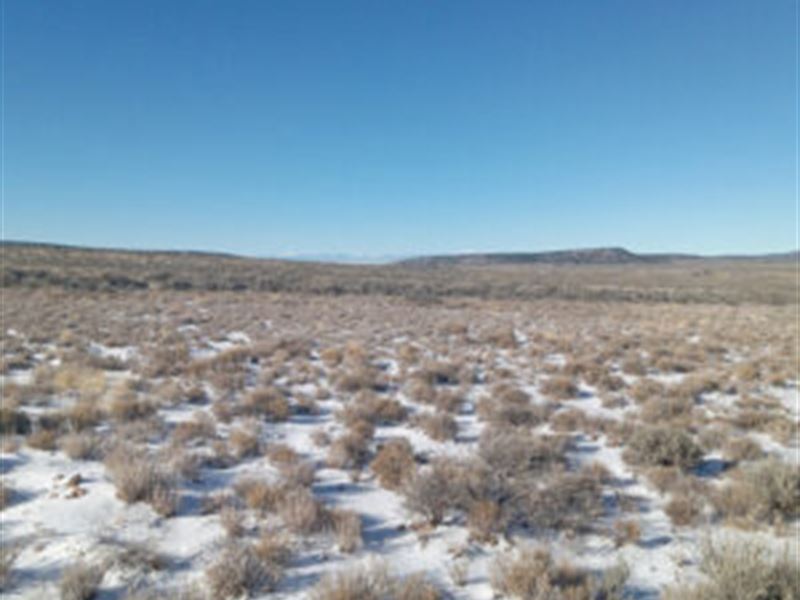 5.05 Ac in Sangre DE Cristo Ranches : Fort Garland : Costilla County : Colorado