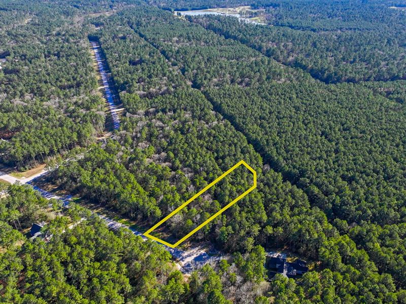 2 Acres, Lot 47 Copperleaf Rd : Huntsville : Walker County : Texas