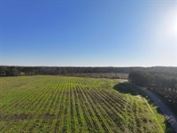 Beautiful Country Home Sites : Union Springs : Bullock County : Alabama