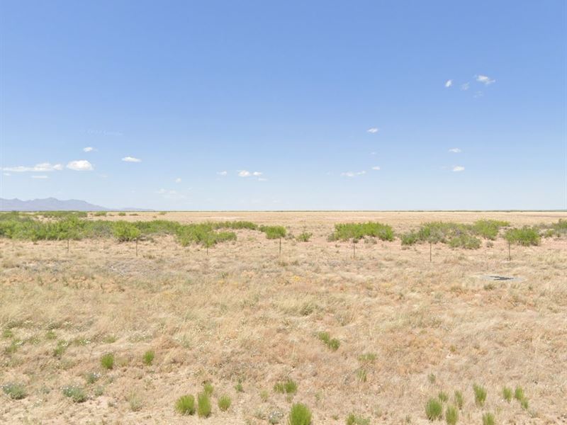 .50 Acres in Luna, Nm, $49 Down : Deming : Luna County : New Mexico