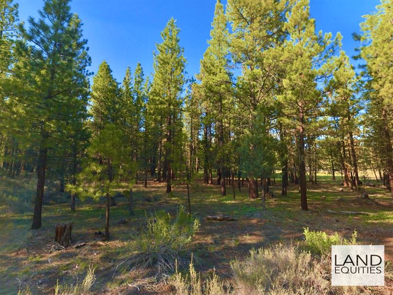 Park Like Setting Bordering Blm : Bonanza : Klamath County : Oregon