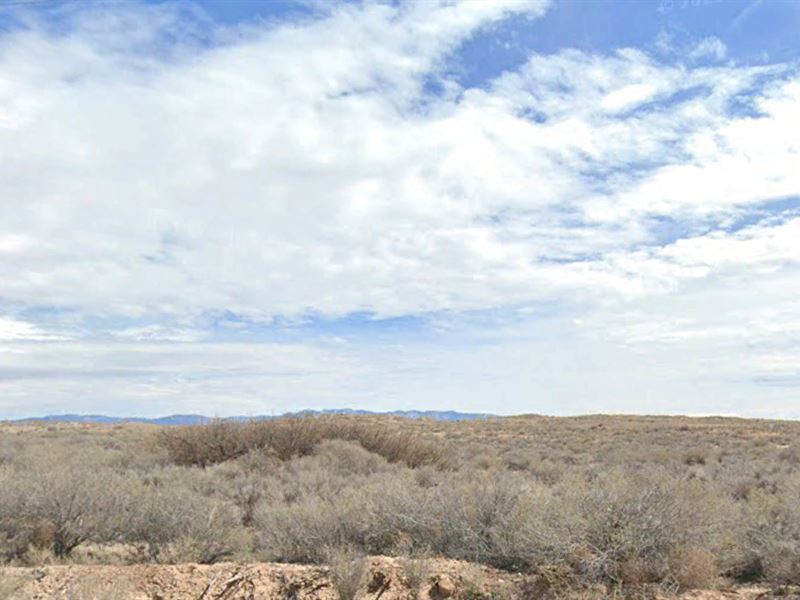 Own Land for $29, Quarter Acre : Belen : Valencia County : New Mexico