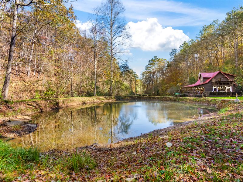 Ellijay Cabin Retreat, Trout Pond : Ellijay : Gilmer County : Georgia