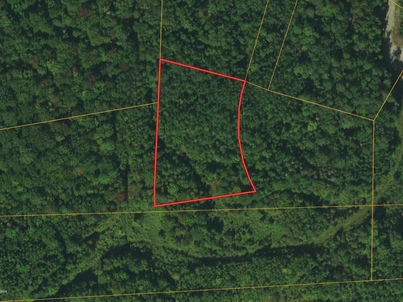 1.13 Acres in Coos County, NH : Milan : Coos County : New Hampshire