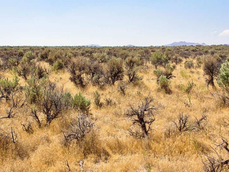 Your Nevada Haven Near Wendover : Wells : Elko County : Nevada