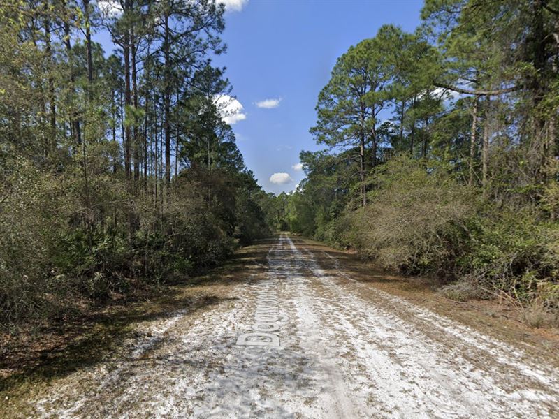 .23 Acres in Georgetown, FL $199/Mo : Georgetown : Putnam County : Florida