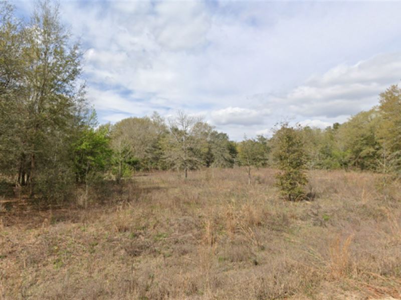 .22 Acres in Interlachen, FL 199/Mo : Interlachen : Putnam County : Florida