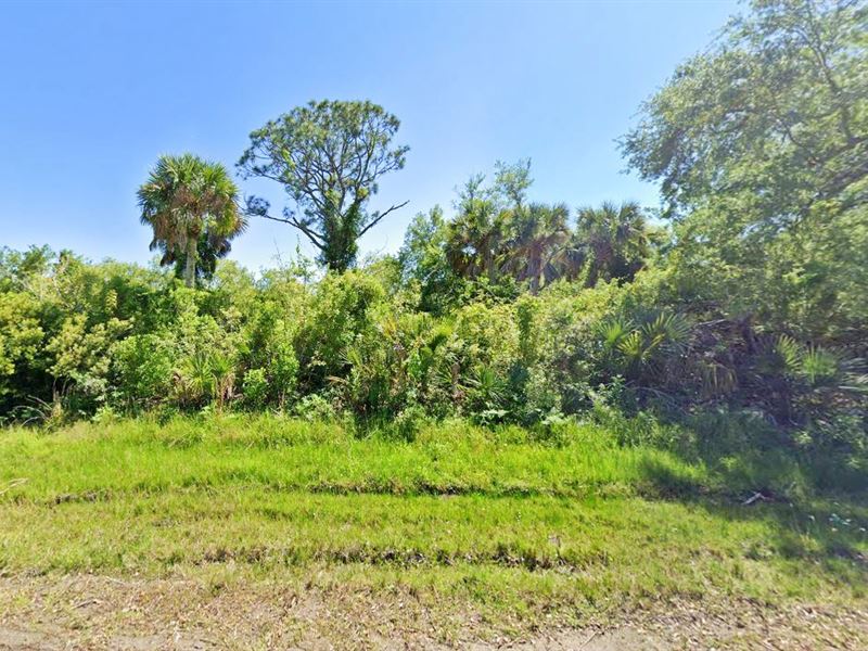 Residential Parcel for $634.92 Down : Port Charlotte : Charlotte County : Florida