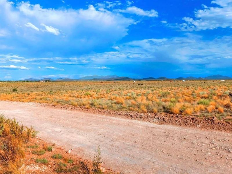 Build or Relax $125-$250/Month : Williams : Coconino County : Arizona