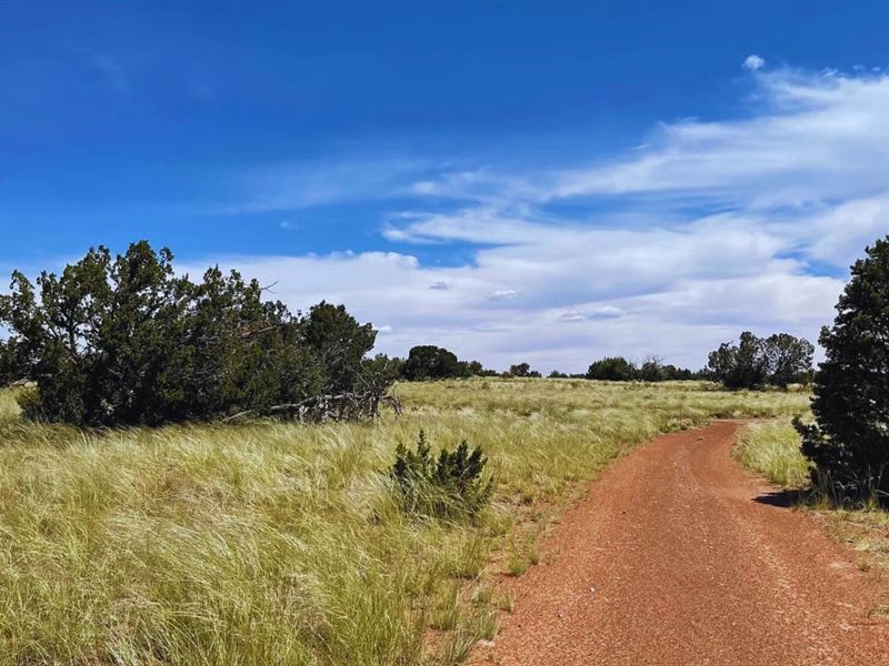 Affordable & Secluded $125-$250/Mo : Williams : Coconino County : Arizona