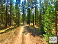 Your Private Retreat in The Woods : Bonanza : Klamath County : Oregon