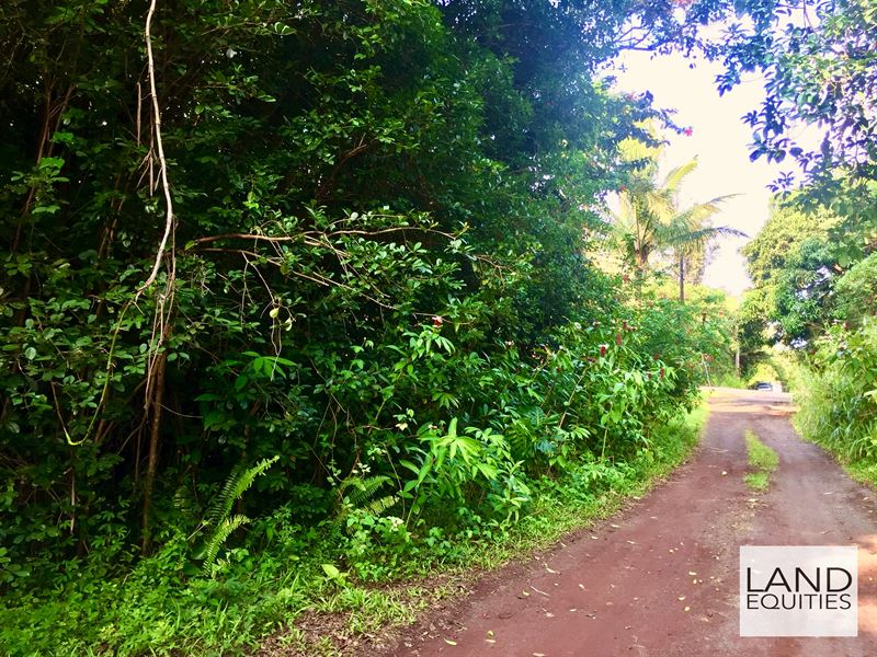 5 Minutes To Black Sand Beach : Pahoa : Hawaii County : Hawaii