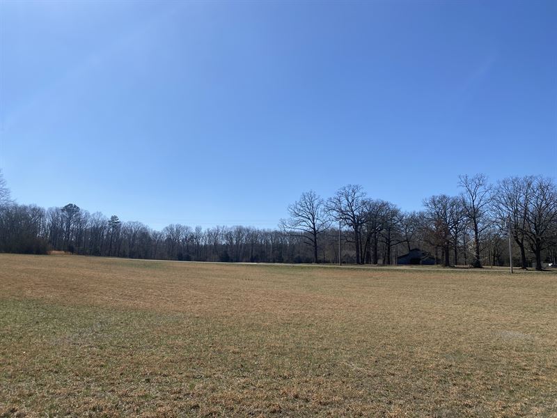 Open Land for Sale in Tennessee : Adamsville : Hardin County : Tennessee