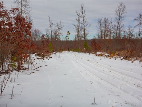 $999 Down Texas County Land : Hartshorn : Texas County : Missouri