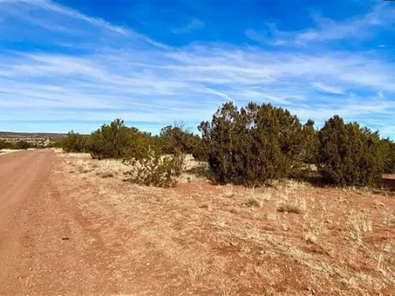 The Perfect Plot Twist $275/Mo : Snowflake : Navajo County : Arizona