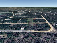 Lot in Interlachen, Fl, $214/Mo : Interlachen : Putnam County : Florida