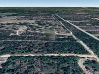 Homestead in Hawthorne, FL $357/Mo : Hawthorne : Putnam County : Florida