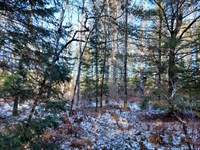 10 Acres Near Lakes, Rivers, Public : Phillips : Price County : Wisconsin