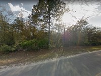 Beautiful Lot, Potential Lake Views : Interlachen : Putnam County : Florida