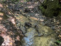 14 Acres, Tract 8 on Whitewate : Tamassee : Oconee County : South Carolina