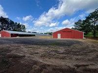 Louisiana Poultry Breeder Farm on 1 : Shongaloo : Webster Parish : Louisiana
