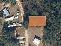 .22 Acres Across From Lake : Interlachen : Putnam County : Florida