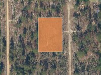 .40 Wooded Acres in Lake Community : Interlachen : Putnam County : Florida