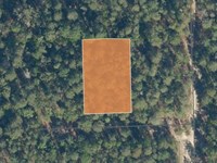 .32 Acres Near Georges Lake : Florahome : Putnam County : Florida