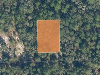 .34 Acres Just Minutes From Lake : Florahome : Putnam County : Florida