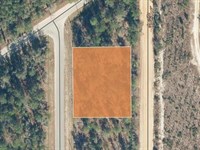 .48 Lot Minutes From George's Lake : Florahome : Putnam County : Florida