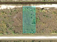 Indian Lake Estates Beautiful Lot : Indian Lake Estates : Putnam County : Florida