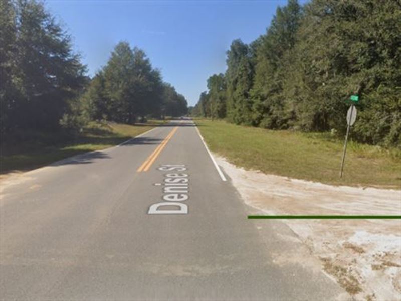 .22 Ac in Interlachen, $249 Down : Interlachen : Putnam County : Florida