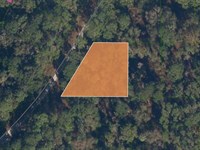 Quiet .33 Acres Near Lake George : Georgetown : Putnam County : Florida
