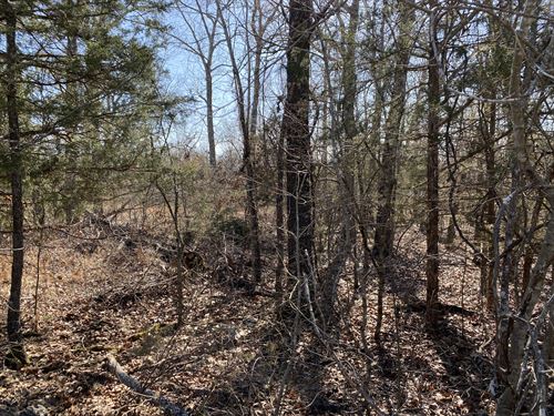 Easy AR Land, 0.52 Acre, $97 Down : Horseshoe Bend : Izard County : Arkansas