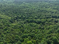 18.14 Acres in Fulton, Mississippi : Fulton : Itawamba County : Mississippi