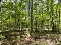 7.40 Acres, Tract 3 On Clatwort : Honea Path : Abbeville County : South Carolina