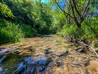 TR 472, 10 Acres, Jefferson Count : Amsterdam : Jefferson County : Ohio