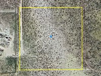 Close To Nature : Rosamond : Kern County : California