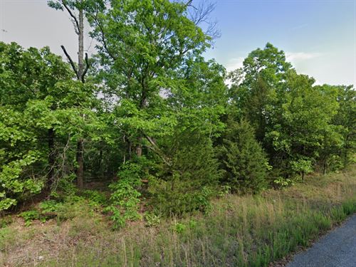 Tall Trees & Tranquility : Horseshoe Bend : Izard County : Arkansas