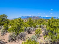 Natural Beauty in Colorado : Fort Garland : Costilla County : Colorado