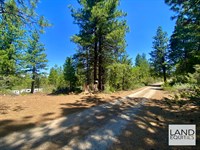 Private Location Covered with Trees : Bonanza : Klamath County : Oregon