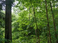 Meacham Rd 8 : Ray : Jackson County : Ohio