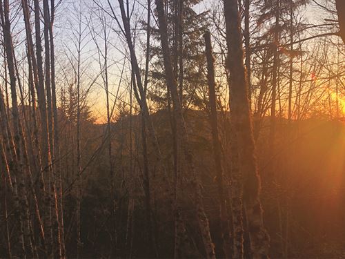 Hunt, Invest, Build, 10 Ac : Ravensdale : King County : Washington