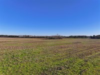Beautiful Home Lot in Union Springs : Union Springs : Bullock County : Alabama