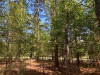 6.15 Acres on Sandy Springs Roa : Pelzer : Greenville County : South Carolina