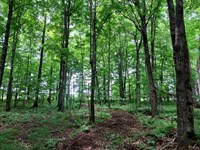 5 Acres West of Prentice : Catawba : Price County : Wisconsin