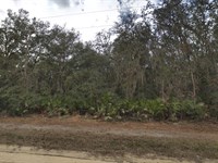 Spacious Lot in Interlachen $418/Mo : Interlachen : Putnam County : Florida