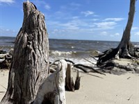 Waterfront Lot for Sale, 6.2 AC : Beaufort : Carteret County : North Carolina